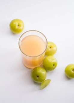 Amla, Indian Gooseberry (Phyllanthus Emblica) -Plant related-Sow Exotic 0155d9 3b5de06aba48400d81ff751687c2b82b mv2 d 1869 2800 s 2