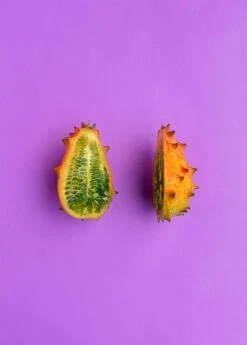 Kiwano, Orange (Cucumis Metuliferus) -Plant related-Sow Exotic 0155d9 4cf089f8c4834175a117d6b245a883bd mv2 d 3648 5472 s 4 2