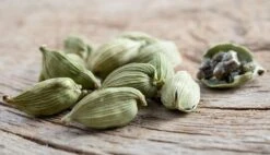 Cardamom (Elettaria Cardamomum) -Plant related-Sow Exotic 0155d9 9e05baa1e29e47c8b271b41c9f80929b mv2 d 2800 1608 s 2