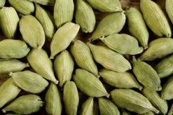 Cardamom (Elettaria Cardamomum) -Plant related-Sow Exotic 0155d9 bd2e6558ee5a48caa276691abb5c3ead mv2 d 2800 1863 s 2