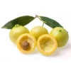 Rose Apple (Syzygium Jambos) -Plant related-Sow Exotic 1