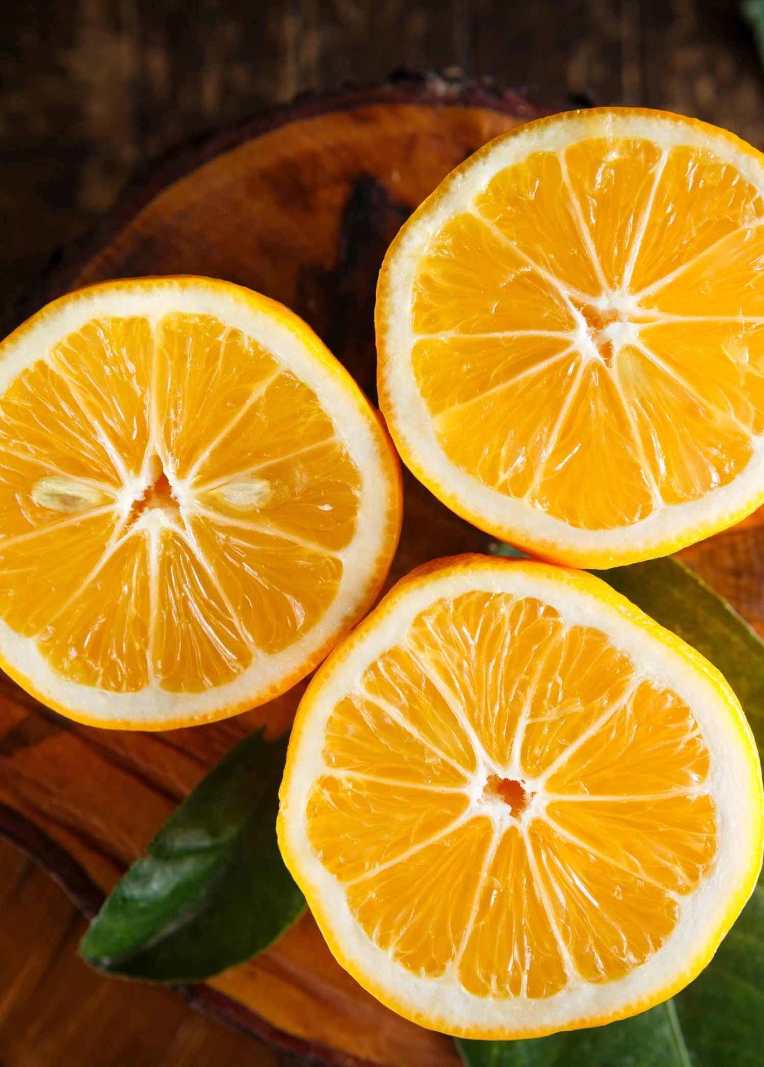 Meyer Lemon (Citrus × Meyeri) 3 Meyer Lemon (Citrus × Meyeri)