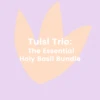 Tulsi Trio: The Essential Holy Basil Bundle -Plant related-Sow Exotic 1kirshnavanaramatulsitrioessentialholybasilplantsbundle