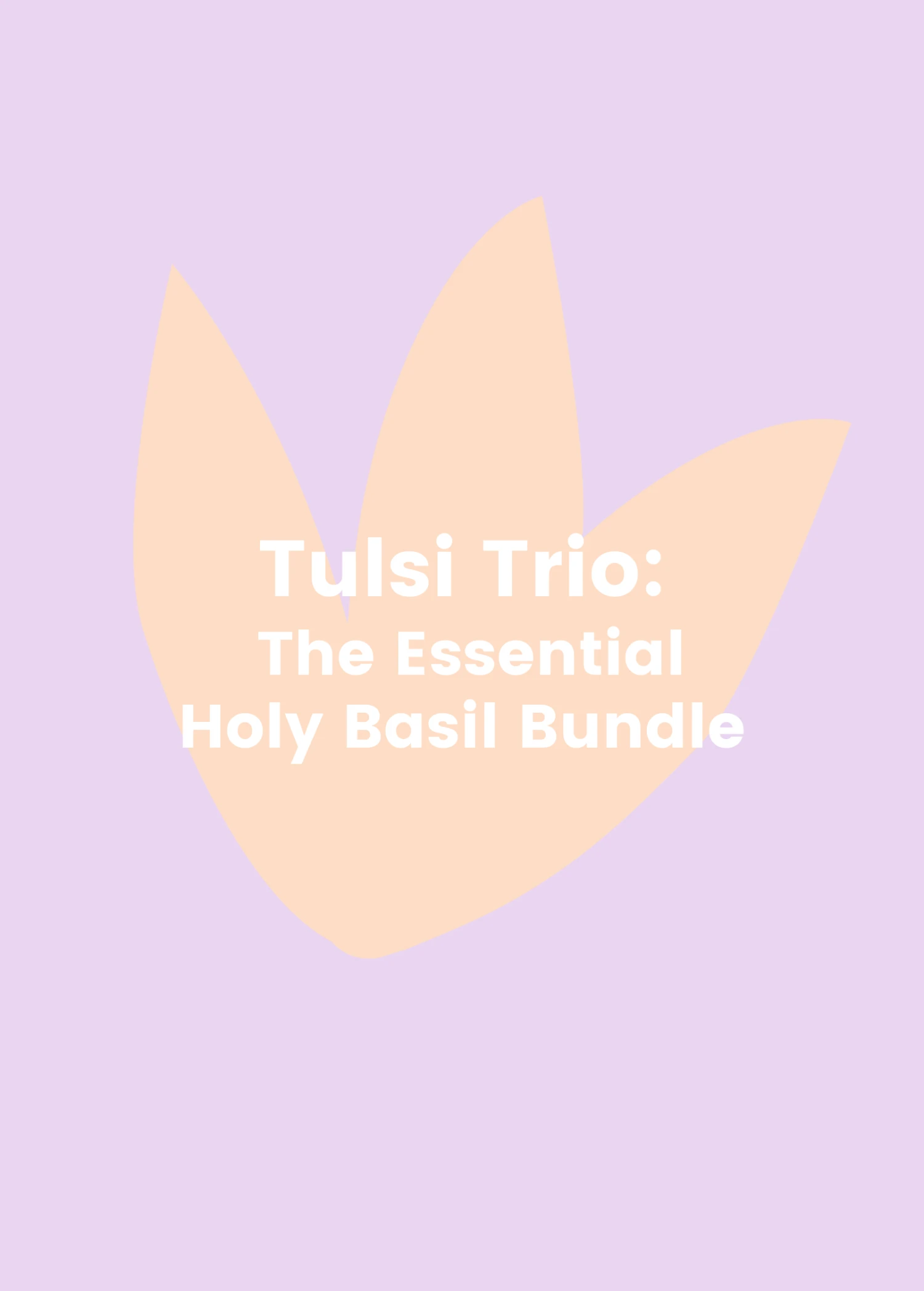Tulsi Trio: The Essential Holy Basil Bundle 3 Tulsi Trio: The Essential Holy Basil Bundle