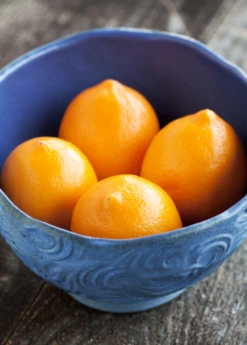 Meyer Lemon (Citrus × Meyeri) 17 Meyer Lemon (Citrus × Meyeri) -Plant related-Sow Exotic 2 b8f139e8 89a6 4fec 87d7 ef00c1f49d19