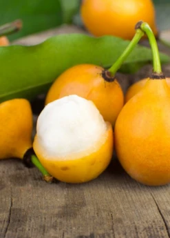 Achacha, Achachairú (Garcinia Humilis)