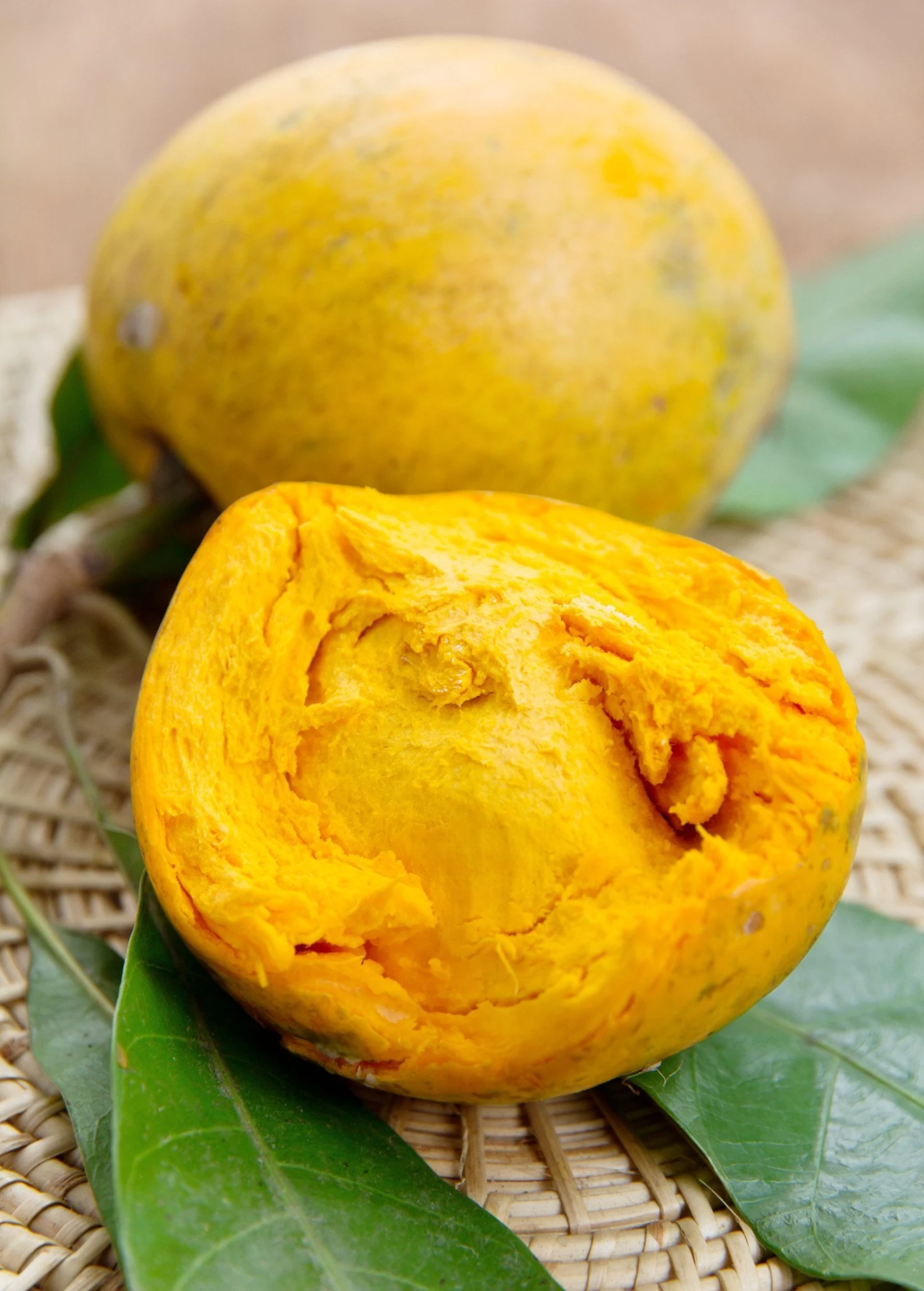 Canistel 'Arue' (Pouteria Campechiana) 3 Canistel 'Arue' (Pouteria Campechiana)