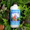Neptune's Harvest Organic Fish & Seaweed Fertilizer 2-3-1 -Plant related-Sow Exotic DSC 4074