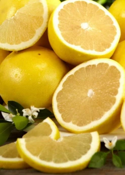 White Grapefruit (Citrus Paradisi) 9 White Grapefruit (Citrus Paradisi) -Plant related-Sow Exotic F8990AC5 94C1 434D 8FC4 AE9681B74AB8