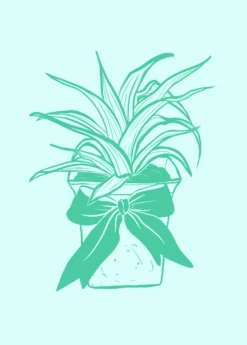 Digital Gift Card -Plant related-Sow Exotic GiftCardGraphics 1 bf6ca498 460b 41fd bd4a 707ed9e06a12