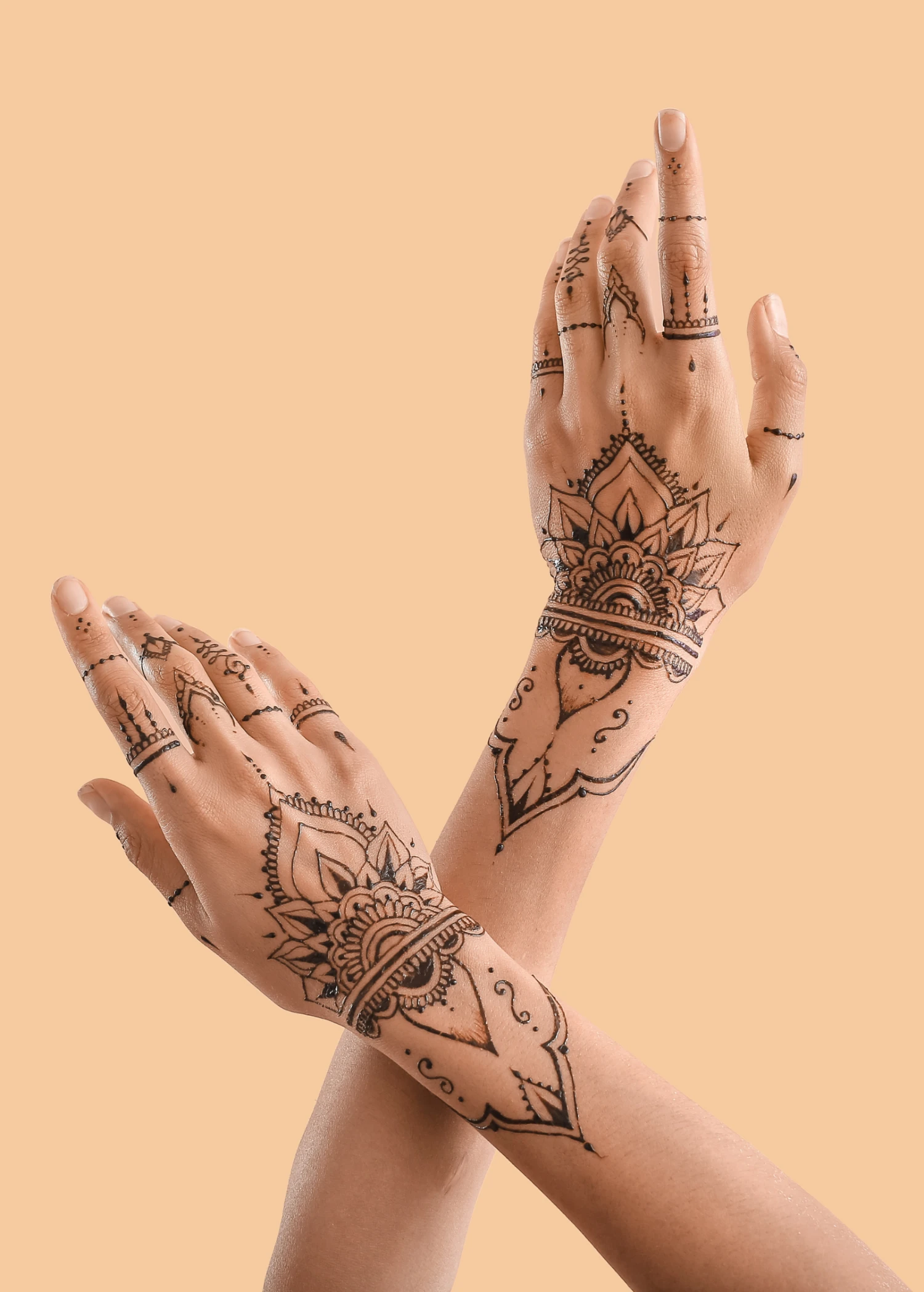 Henna (Lawsonia Inermis) 6 Henna (Lawsonia Inermis) - Image 4