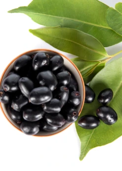 Jamun (Syzygium Cumini) 18 Jamun (Syzygium Cumini) -Plant related-Sow Exotic JamunTreesforsale SowExotic.com 1
