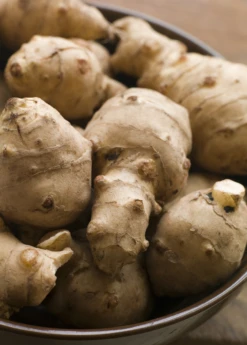 Jerusalem Artichoke (Helianthus Tubersosus) -Plant related-Sow Exotic Jerusalemartichokeplantforsalesowexoticnursery 1