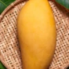 Mango 'Nam Doc Mai' (Mangifera Indica) -Plant related-Sow Exotic NamDokMaithailandmangosowexoticplantnursery 1