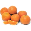 Page Mandarin (Citrus Reticulata 'Page') -Plant related-Sow Exotic PageMandarinSowExotic