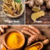 Roots Bundle: Turmeric, Finger Root, & Ginger -Plant related-Sow Exotic RootsBundleFingerRoot GIngerTurmeric