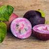 Purple Caimito, Star Apple (Chrysophyllum Cainito) 1 Purple Caimito, Star Apple (Chrysophyllum Cainito) -Plant related-Sow Exotic Sow Exotic Plant Nursery cainito 2