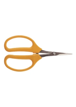 Stainless Grape Scissors