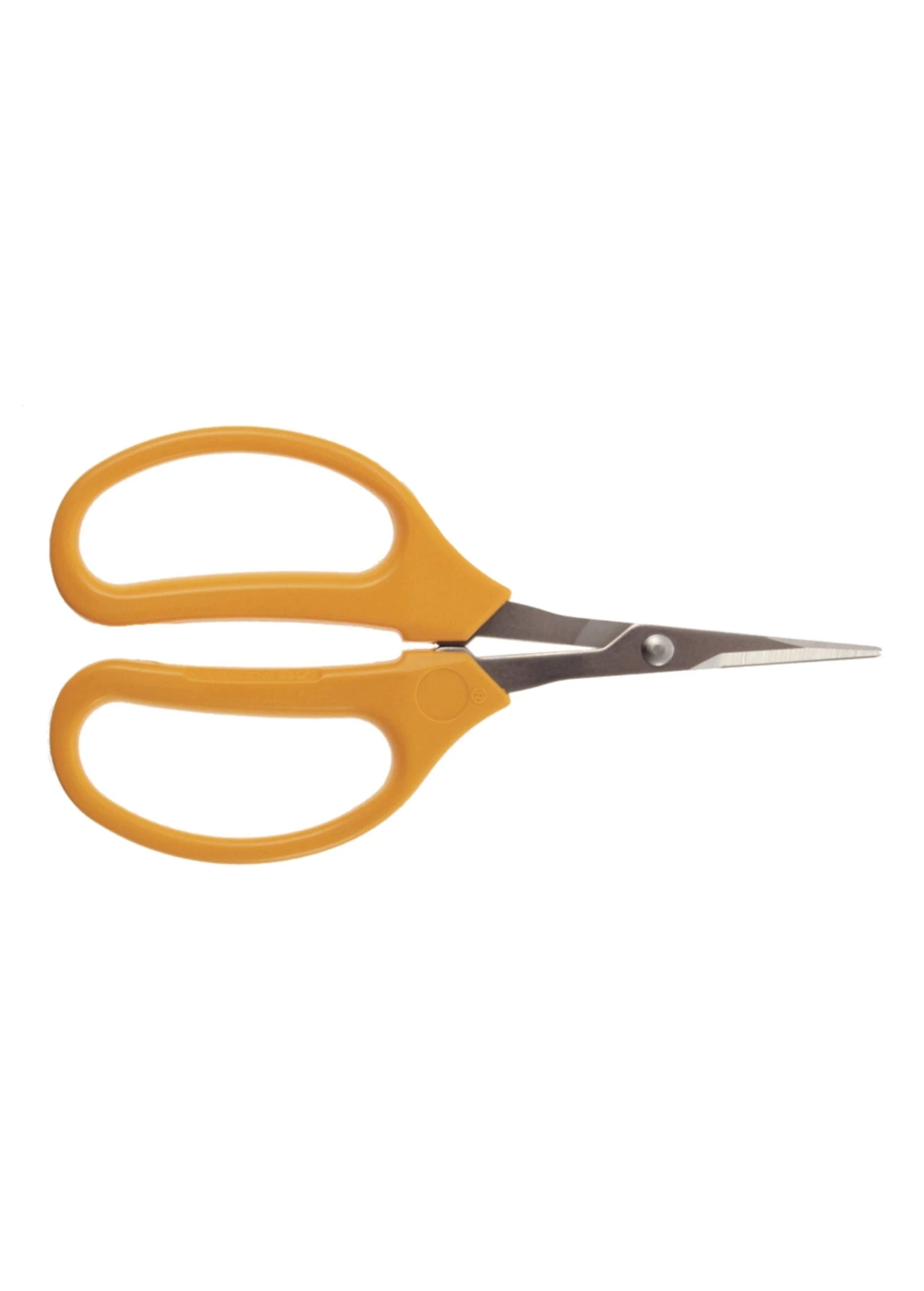 Stainless Grape Scissors 3 Stainless Grape Scissors