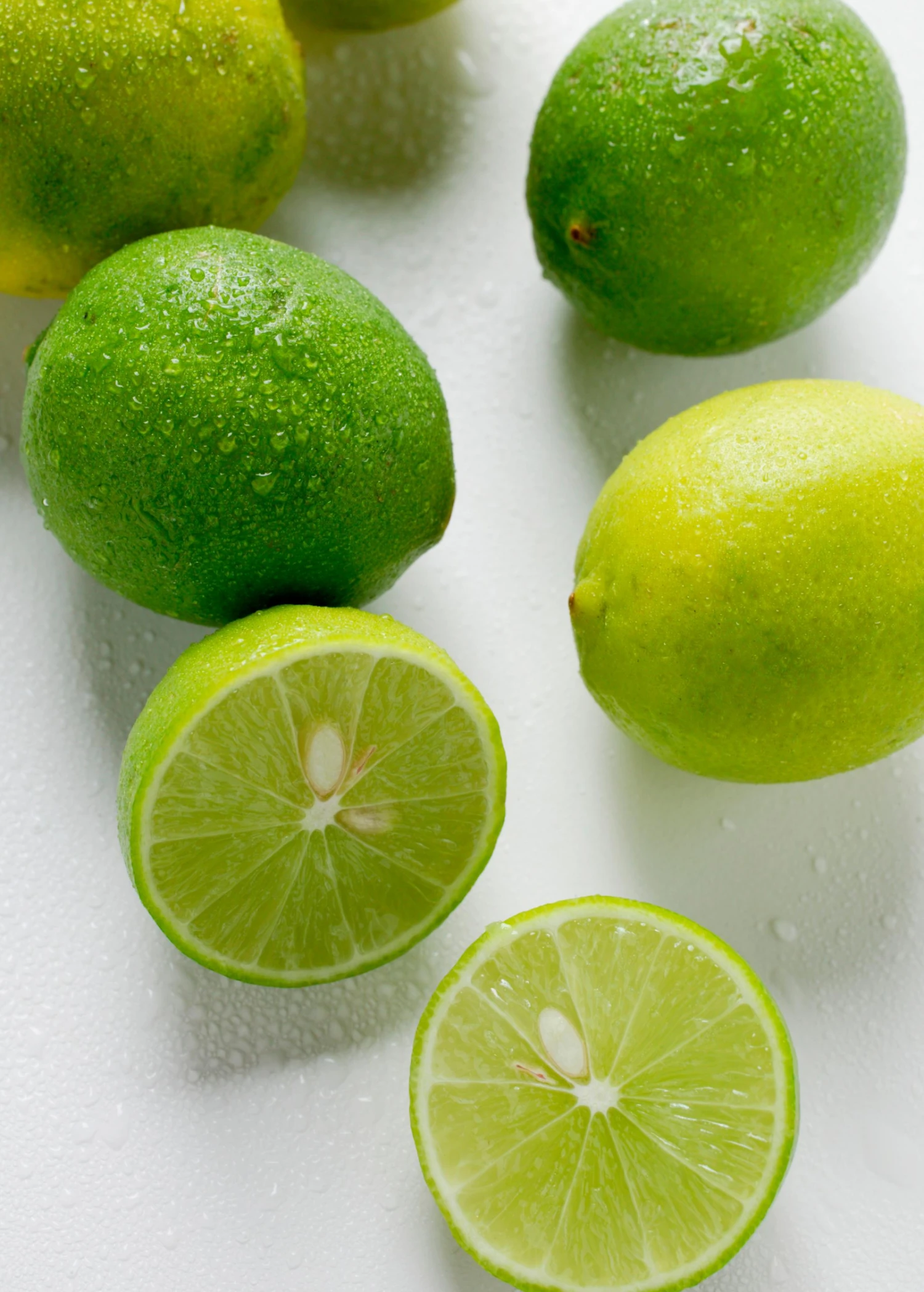 Key Lime (Citrus × Aurantiifolia) 4 Key Lime (Citrus × Aurantiifolia) - Image 2
