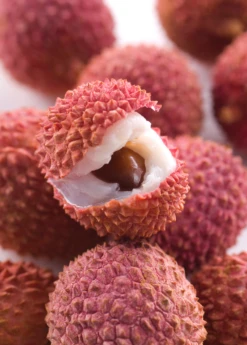 Lychee 'Brewster' (Litchi Chinensis) -Plant related-Sow Exotic Sow Exotic Plant Nursery lychee 1