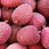 Lychee 'Sweetheart' (Litchi Chinensis) -Plant related-Sow Exotic SweetheartLycheesowexoticplantNursery 2