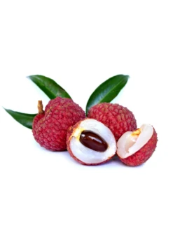 Lychee 'Sweetheart' (Litchi Chinensis) -Plant related-Sow Exotic SweetheartLycheesowexoticplantNursery 3