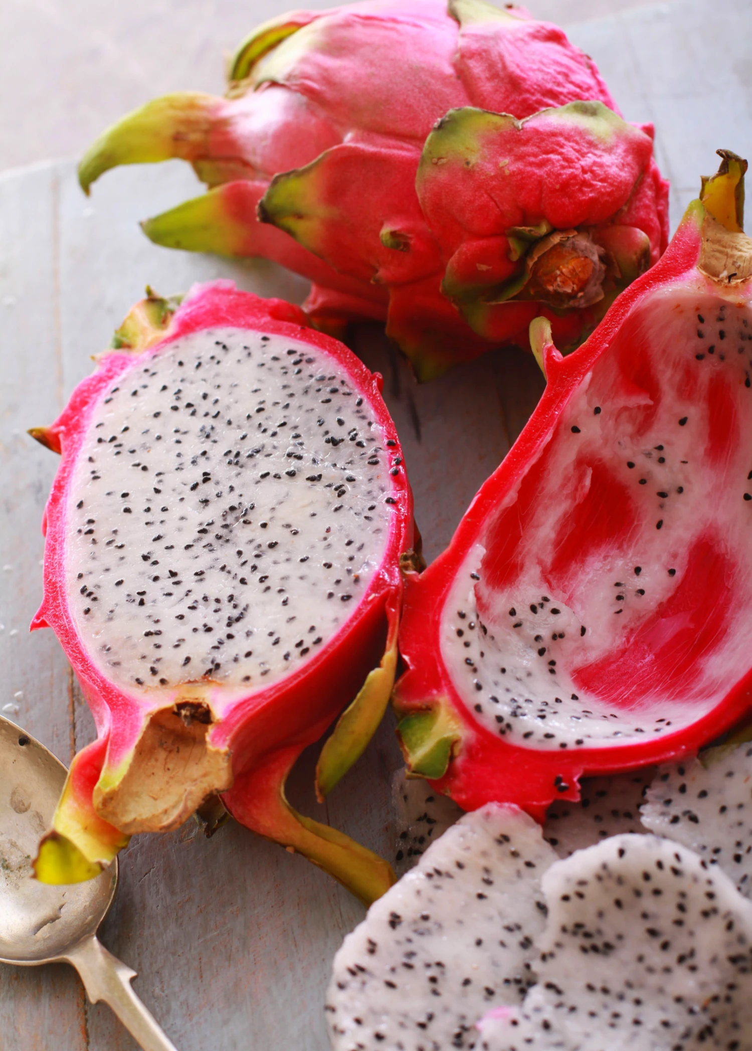 Dragon Fruit, White 'Vietnamese Jaina' (Hylocereus Undatus) 4 Dragon Fruit, White 'Vietnamese Jaina' (Hylocereus Undatus) - Image 2