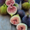 Fig 'Violete De Bordeaux' (Ficus Carica) -Plant related-Sow Exotic ViolettedeBordeauxFigPlantforSale SowExotic.com
