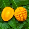 Mango 'Angie' (Mangifera Indica) -Plant related-Sow Exotic angiemango