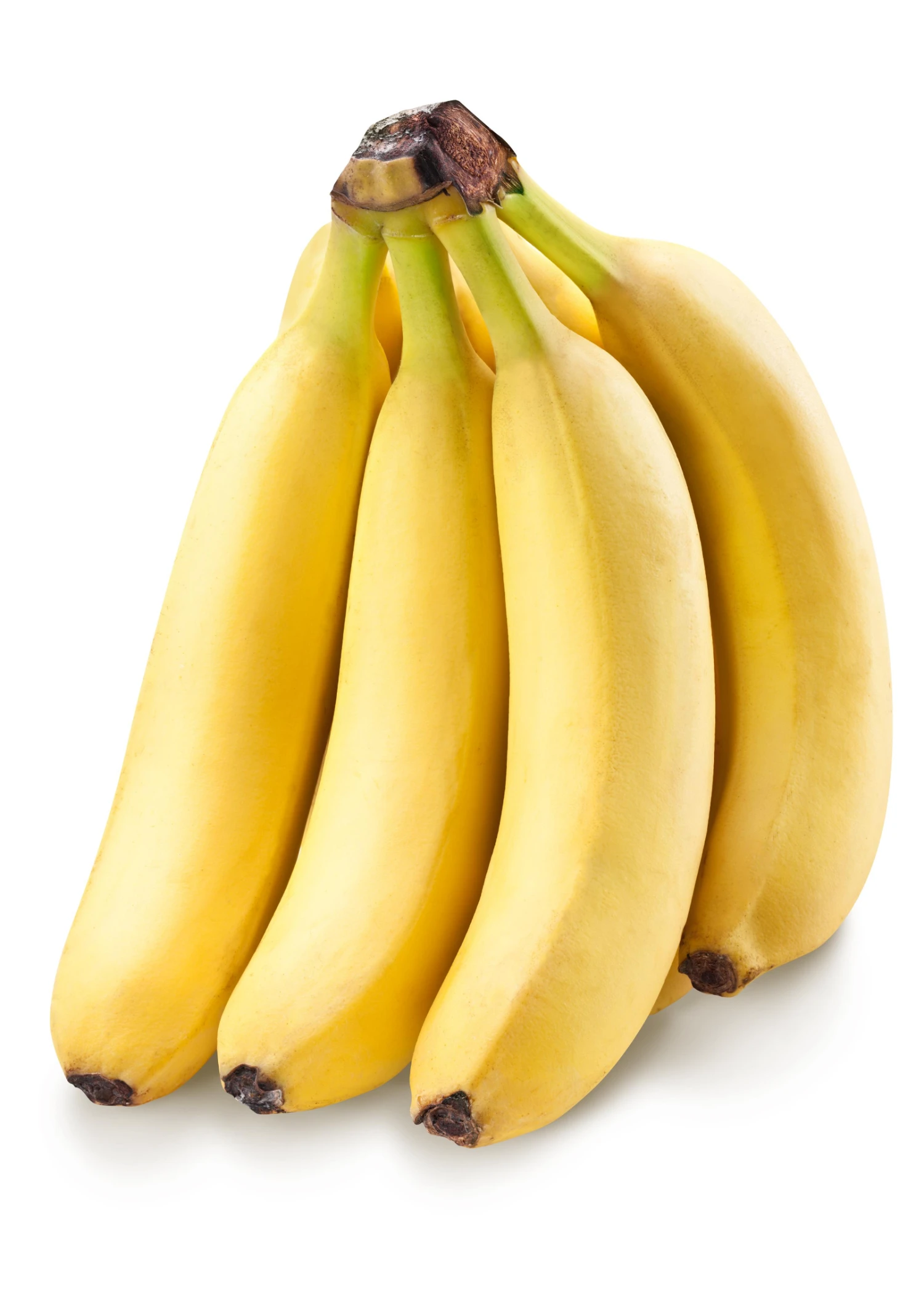 Banana 'Grand Nain' (Musa Acuminata) 4 Banana 'Grand Nain' (Musa Acuminata) - Image 2