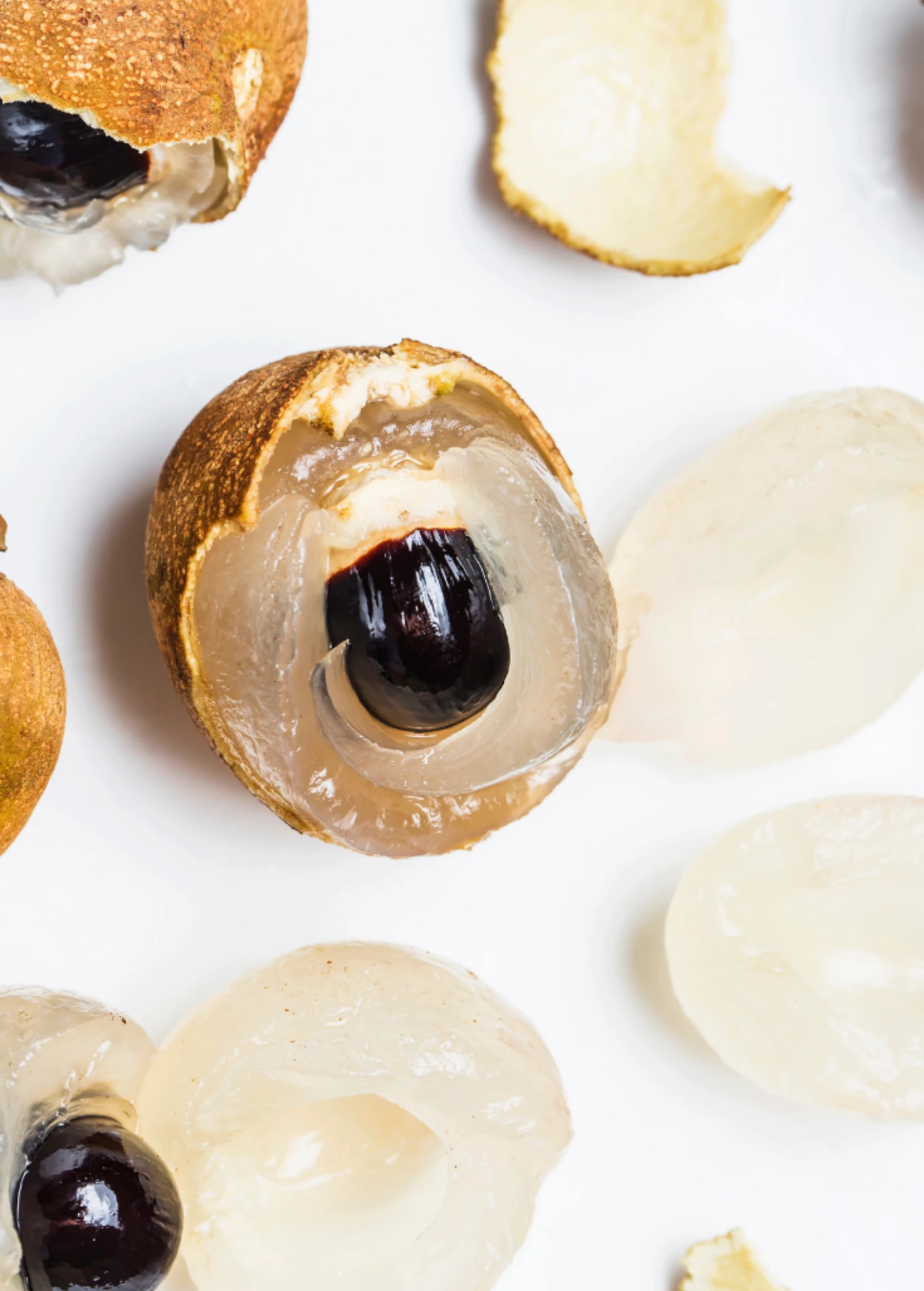 Longan, 'Biew Kiew' (Dimocarpus Longan) 4 Longan, 'Biew Kiew' (Dimocarpus Longan) - Image 2