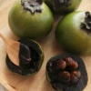 Black Sapote ‘Reineke’ (Diospyros Nigra) -Plant related-Sow Exotic blacksapotefruittree Diospyrosdigyna sowexoticplantNursery