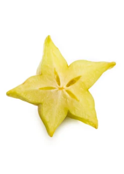 Star Fruit 'Kajang' (Averrhoa Carambola) -Plant related-Sow Exotic carambolastartfruitsowexoticplantNursery 4