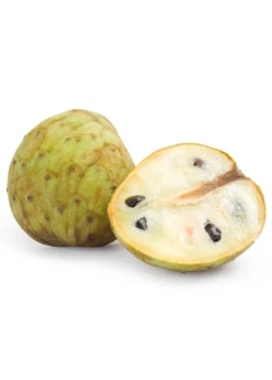 Cherimoya (Annona Cherimola) -Plant related-Sow Exotic cherimoyasowexotic
