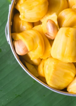 Jackfruit 'Crunchy' (Artocarpus Heterophyllus) 11 Jackfruit 'Crunchy' (Artocarpus Heterophyllus) -Plant related-Sow Exotic crunchjackfruitfruittreeliveplantforsalesowexotic
