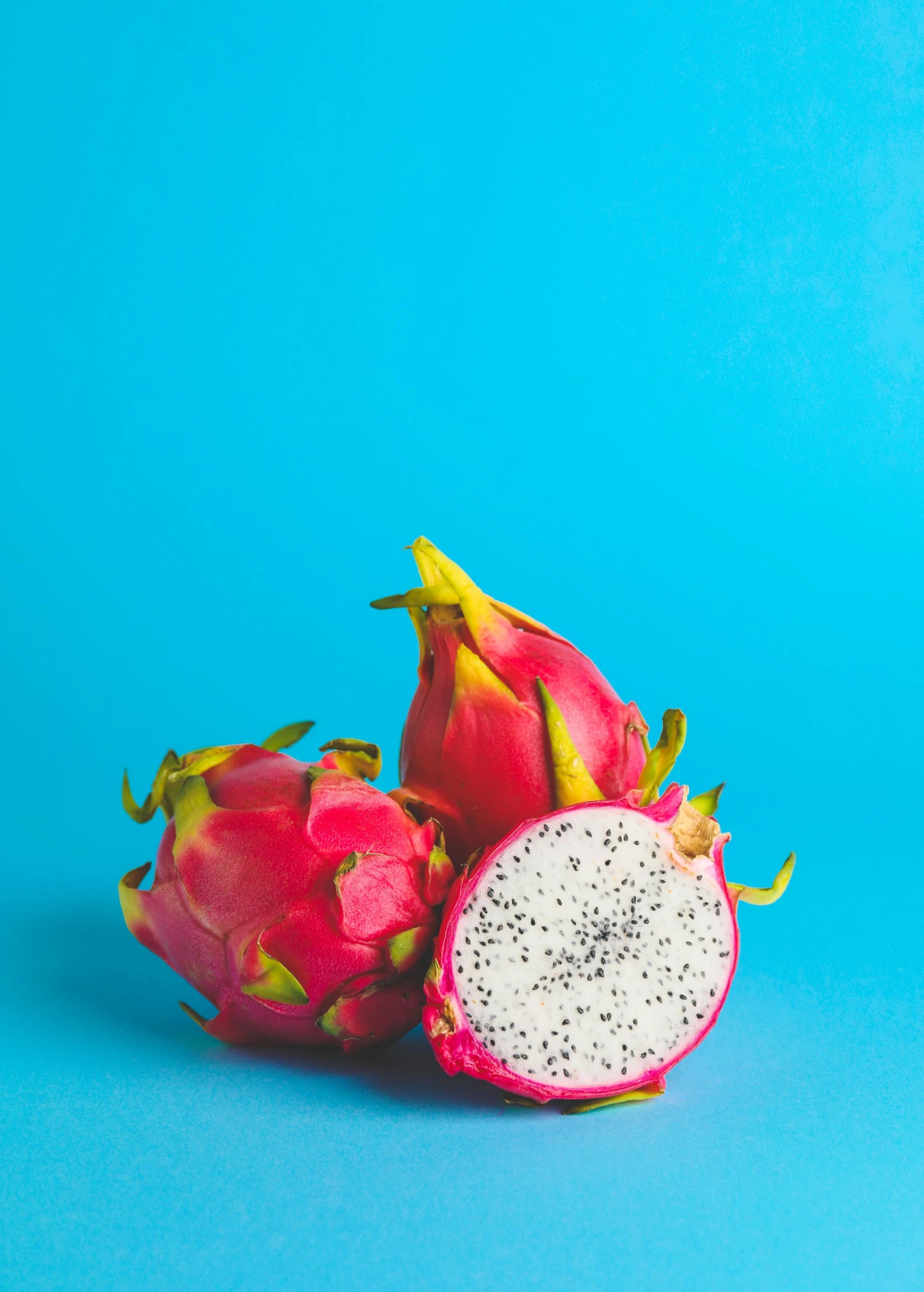 Dragon Fruit, White 'Vietnamese Jaina' (Hylocereus Undatus) 6 Dragon Fruit, White 'Vietnamese Jaina' (Hylocereus Undatus) - Image 4