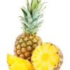 Pineapple 'Elite Gold' (Ananas Comosus) 1 Pineapple 'Elite Gold' (Ananas Comosus) -Plant related-Sow Exotic elitegoldpineapplesowexotic