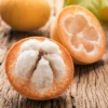 Santol (Sandoricum Koetjape) -Plant related-Sow Exotic fresh santol thai fruit sow exotic