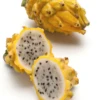 Dragon Fruit, Yellow (Selenicereus Megalanthus) 1 Dragon Fruit, Yellow (Selenicereus Megalanthus) -Plant related-Sow Exotic fresh yellow dragon fruit on white background sow exotic e212dba2 d670 41d5 80f5 ca8a5f9bce9d
