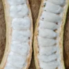 Ice Cream Bean (Inga Edulis) -Plant related-Sow Exotic icecreambeansowexotic 1