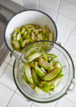 June Plum (Spondias Dulcis) -Plant related-Sow Exotic juneplymsowexotic 3