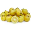 Guava, Lemon (Psidium Littorale) -Plant related-Sow Exotic lemonguava