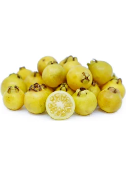 Plant related-Sow Exotic 17 Guava, Lemon (Psidium Littorale)