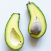 Avocado 'Mexicola' (Persea Americana) -Plant related-Sow Exotic mexicolaavocadosowexotic