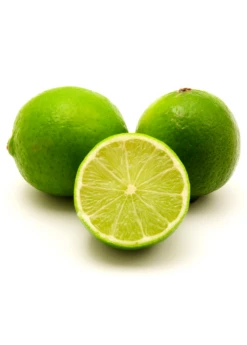 Plant related-Sow Exotic -Plant related-Sow Exotic perisan lime florida citrus tree for sale sow exotic