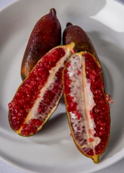 Red Finger Lime (Citrus Australasica)