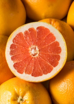 Ruby Red Grapefruit (Citrus × Paradisi)