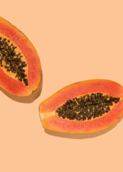 Papaya, 'Dwarf Red Lady' (Carica Papaya) -Plant related-Sow Exotic sowexoticpapaya 1