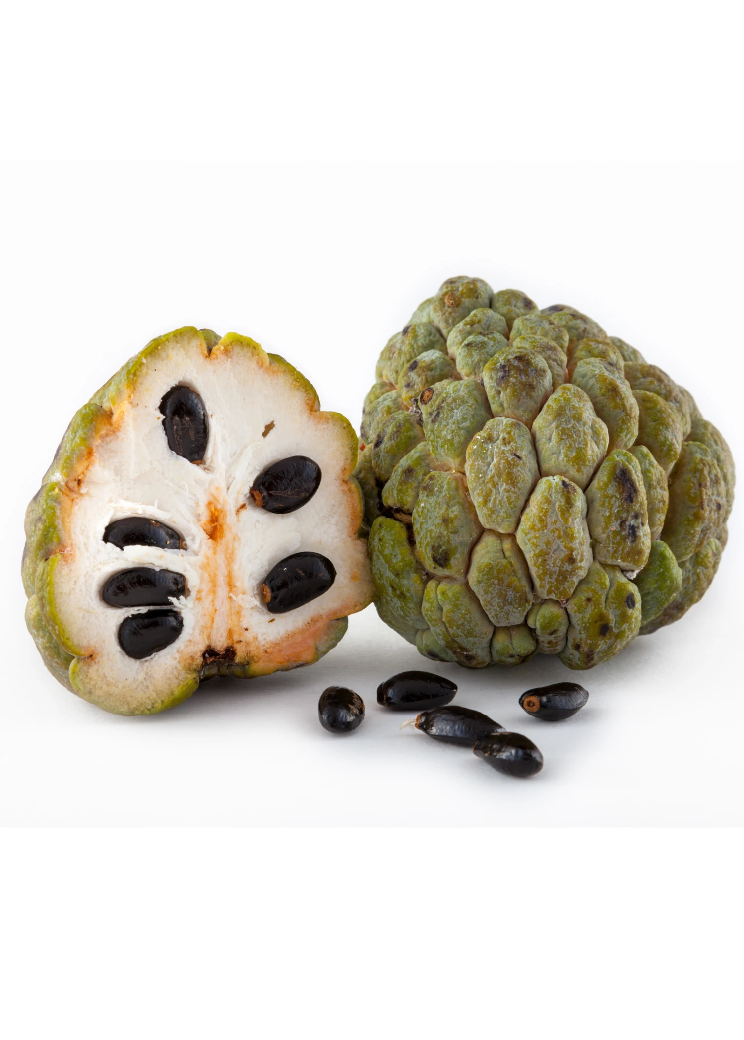 Sugar Apple 'Thai Lessard' (Annona Squamosa L) 4 Sugar Apple 'Thai Lessard' (Annona Squamosa L) - Image 2